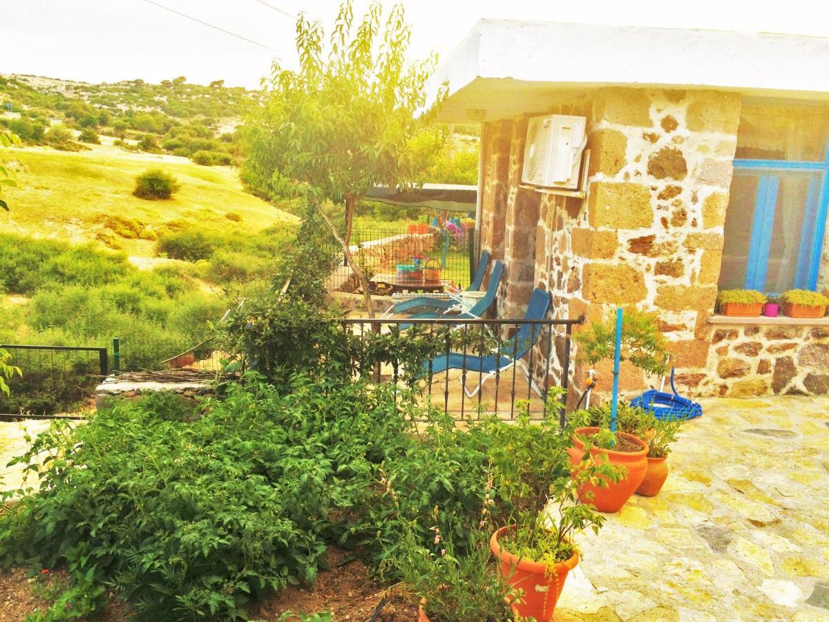 Alterna Köy Evi Ayvacik Dış mekan fotoğraf
