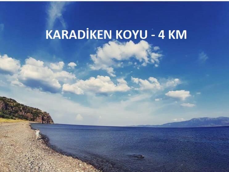 Alterna Köy Evi Ayvacik Dış mekan fotoğraf