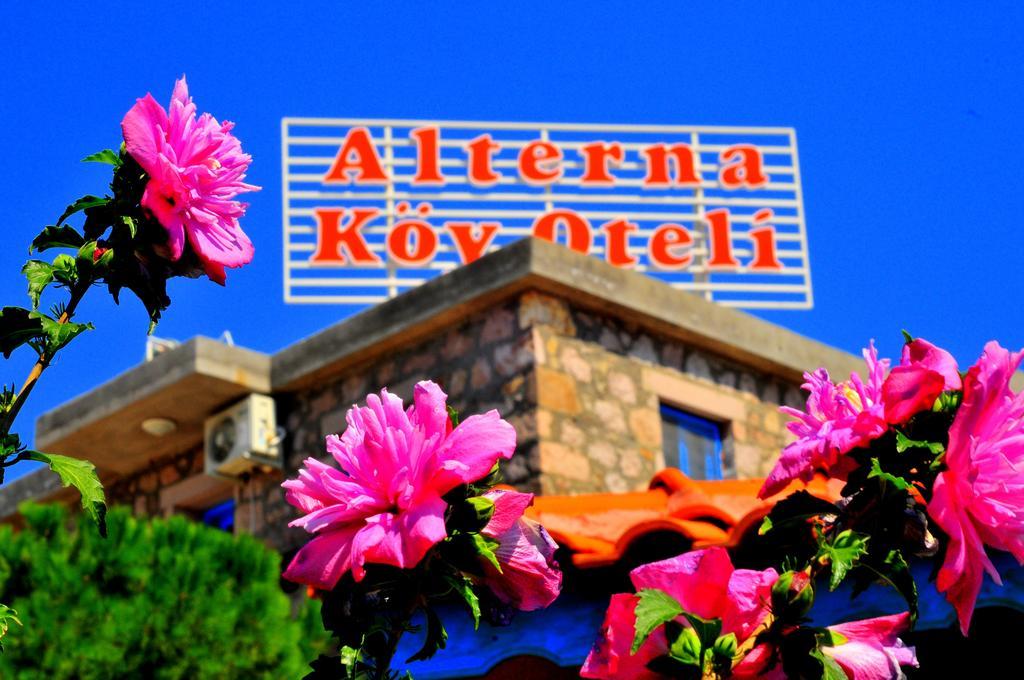 Alterna Köy Evi Ayvacik Dış mekan fotoğraf