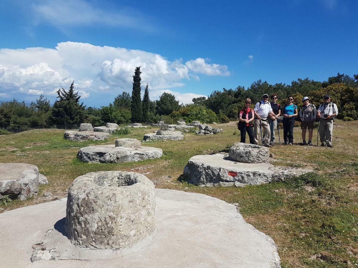Alterna Köy Evi Ayvacik Dış mekan fotoğraf