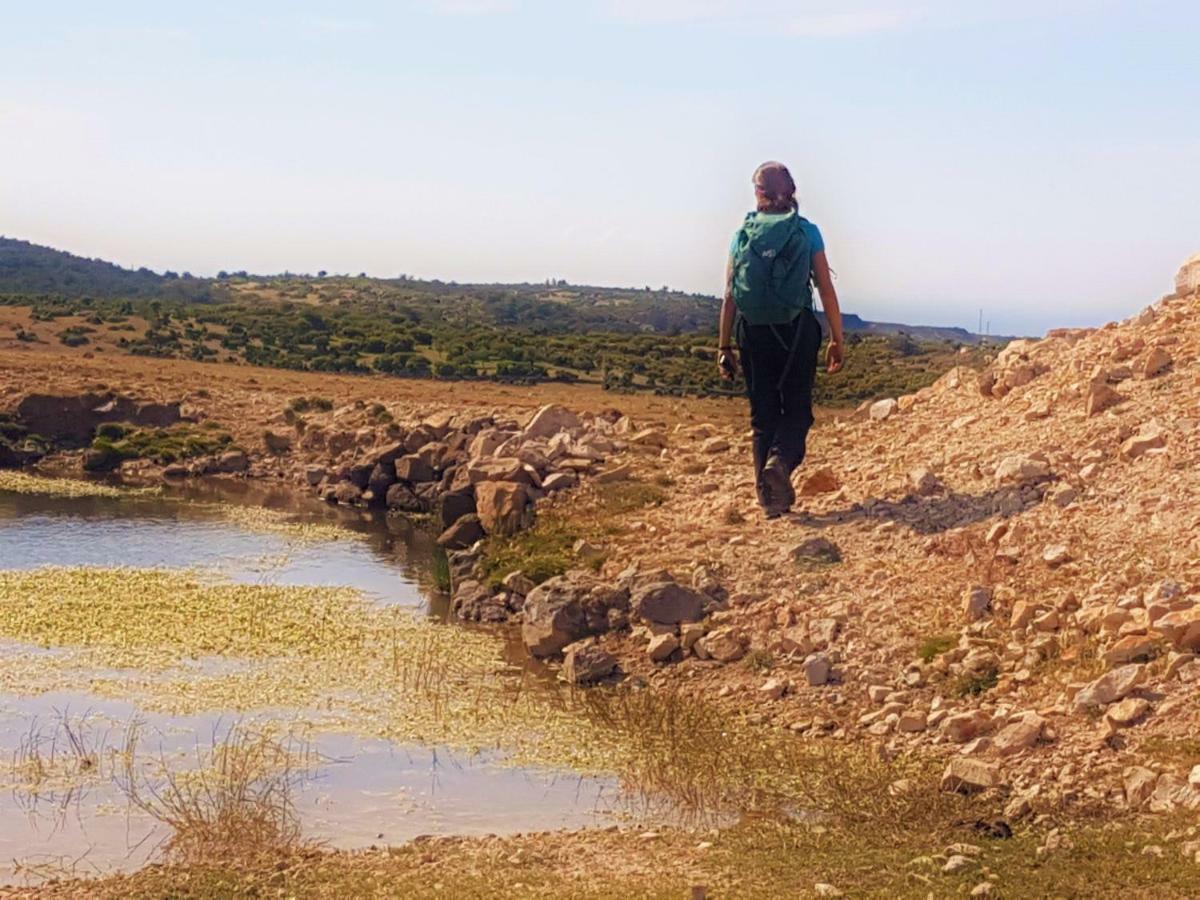 Alterna Köy Evi Ayvacik Dış mekan fotoğraf